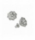 pendientes Diamonfire rosetón de plata con 18 circonitas - 6213811082