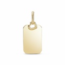 Colgante Pandora Shine Etiqueta Rectangular Grabable