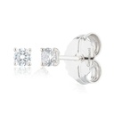 Pendientes Camaleoni  Plata Rodio Desmontable Cerco y Circulo WPD005/LP