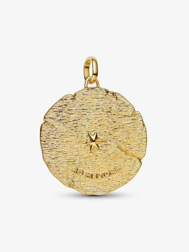 Charm Pandora Medallón Grande Flechas Cruzadas 764084C01