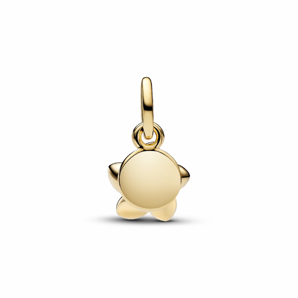 Charm Pandora 763845C01