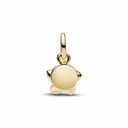 Charm Pandora 763845C01
