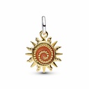 Charm Pandora 764703C01