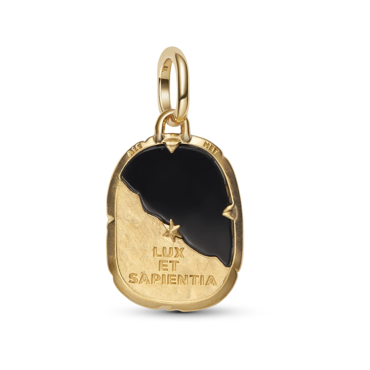 charm-medallon-recubrimiento-oro-14k-buho-764805c01-v2.webp