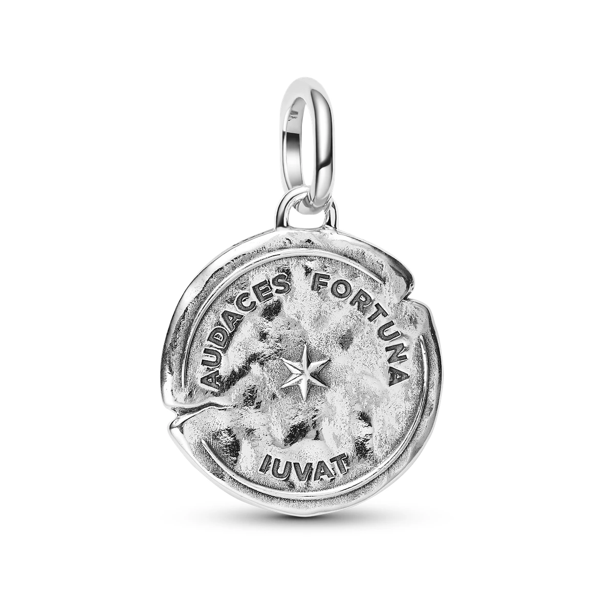 charm-medallon-plata-ley-delfin-794807c01-v2.webp