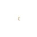 Charm Suelto Salvatore Miscellany Luna Plata Chapada