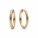 Pendientes de Aro Pandora Shine Moments 269532C00
