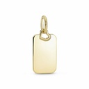 Colgante Pandora Shine Etiqueta Rectangular Grabable