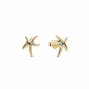 Pendientes Pandora Estrella de Mar 