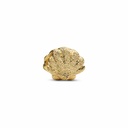 Charm Pandora Mini Concha Dorada Texturizada 764057C00