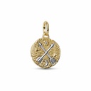 Charm Pandora  Medallón y Flechas Cruzadas 764081C01