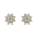 Pendientes Litta Fiore Rosera con Circonitas Oro Amarillo LEA-201-812-UU