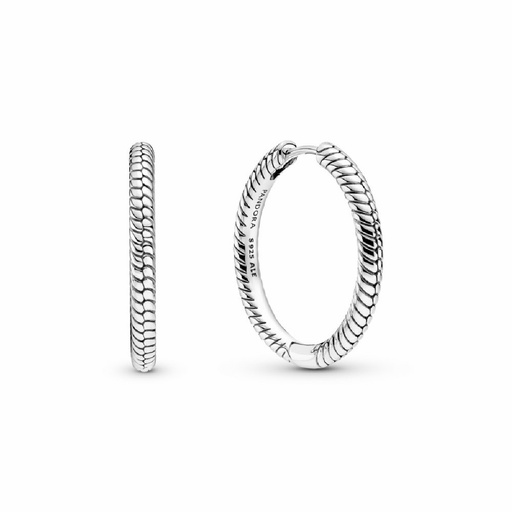 [299532C00] Pendientes Pandora Aro para Charms 299532C00