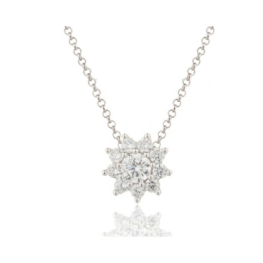 [WC048/R] Colgante Camaleoni Chambord Plata Rodio Roseta Grande Garra WC048/R