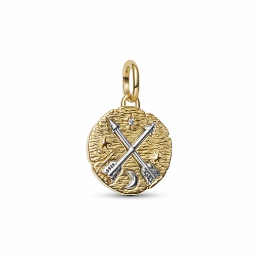 [764081C01] Charm Pandora  Medallón y Flechas Cruzadas 764081C01