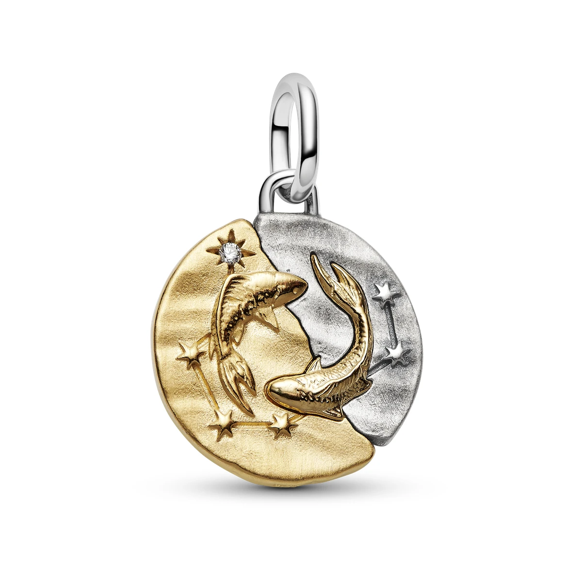 [764991C01] Charm Medallón en plata de ley y con un recubrimiento en oro de 14k Zodiaco Acuario