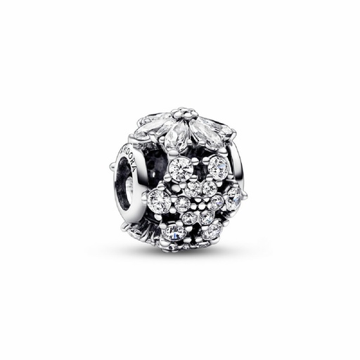 [792383C01] Charm Pandora Herbario Brillante 792383C01